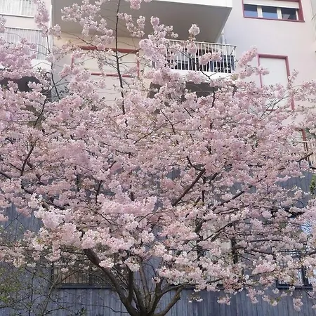 Eiffel Seightseing Lägenhet Paris